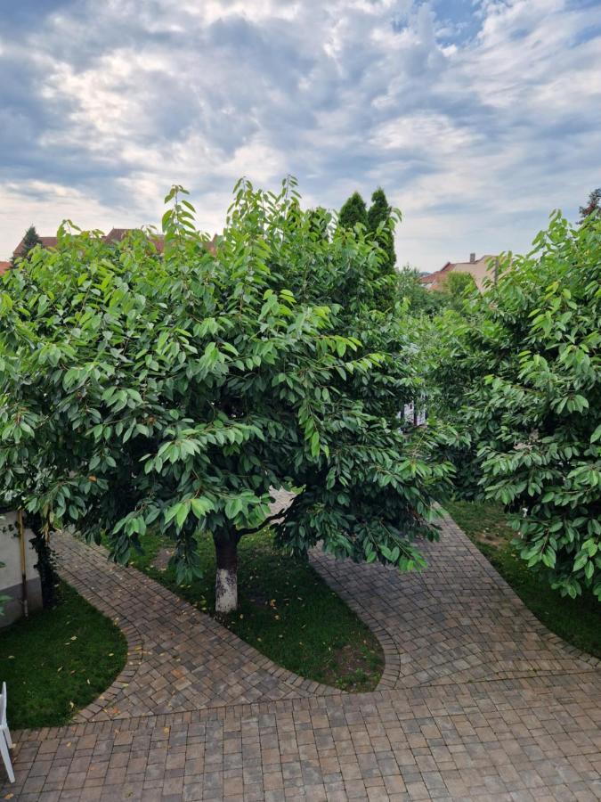 Atlantic Boutique Hotel Târgu-Mureş Екстериор снимка
