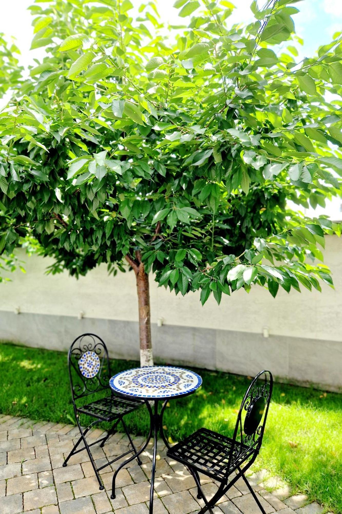Atlantic Boutique Hotel Târgu-Mureş Екстериор снимка